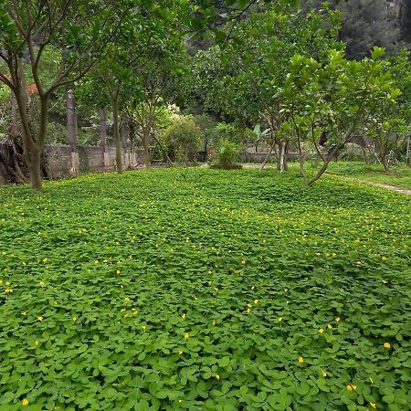 Yen Binh Homestay Ninh Bình Extérieur photo