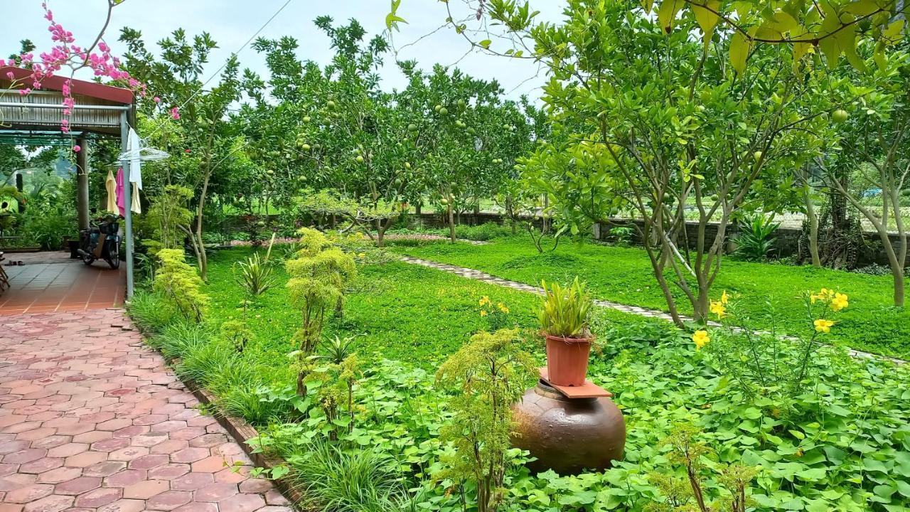 Yen Binh Homestay Ninh Bình Extérieur photo