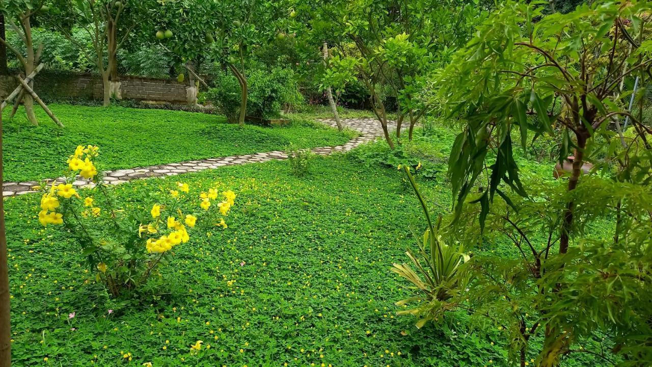 Yen Binh Homestay Ninh Bình Extérieur photo