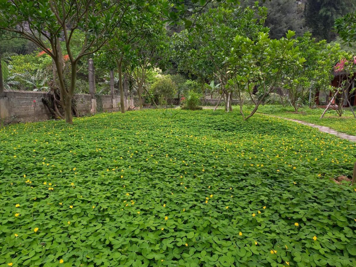 Yen Binh Homestay Ninh Bình Extérieur photo