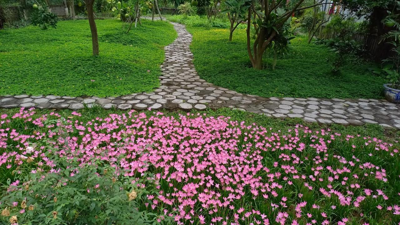 Yen Binh Homestay Ninh Bình Extérieur photo