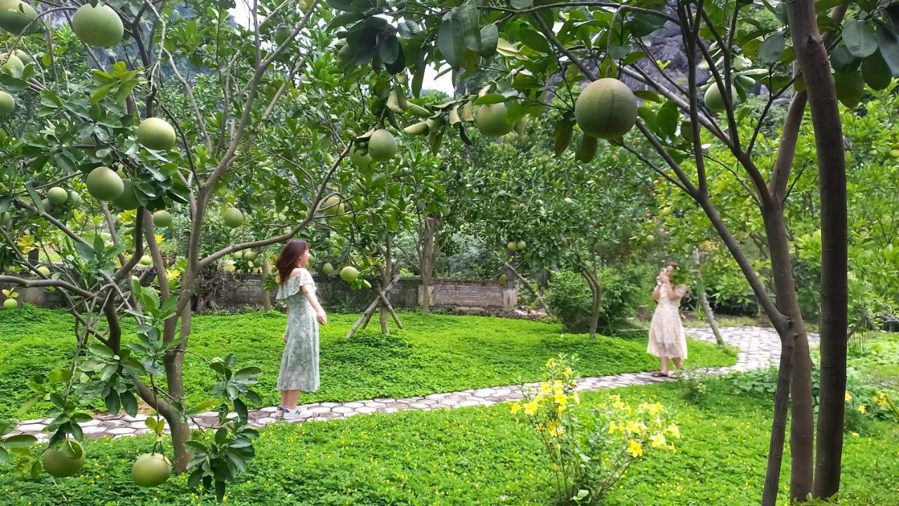 Yen Binh Homestay Ninh Bình Extérieur photo