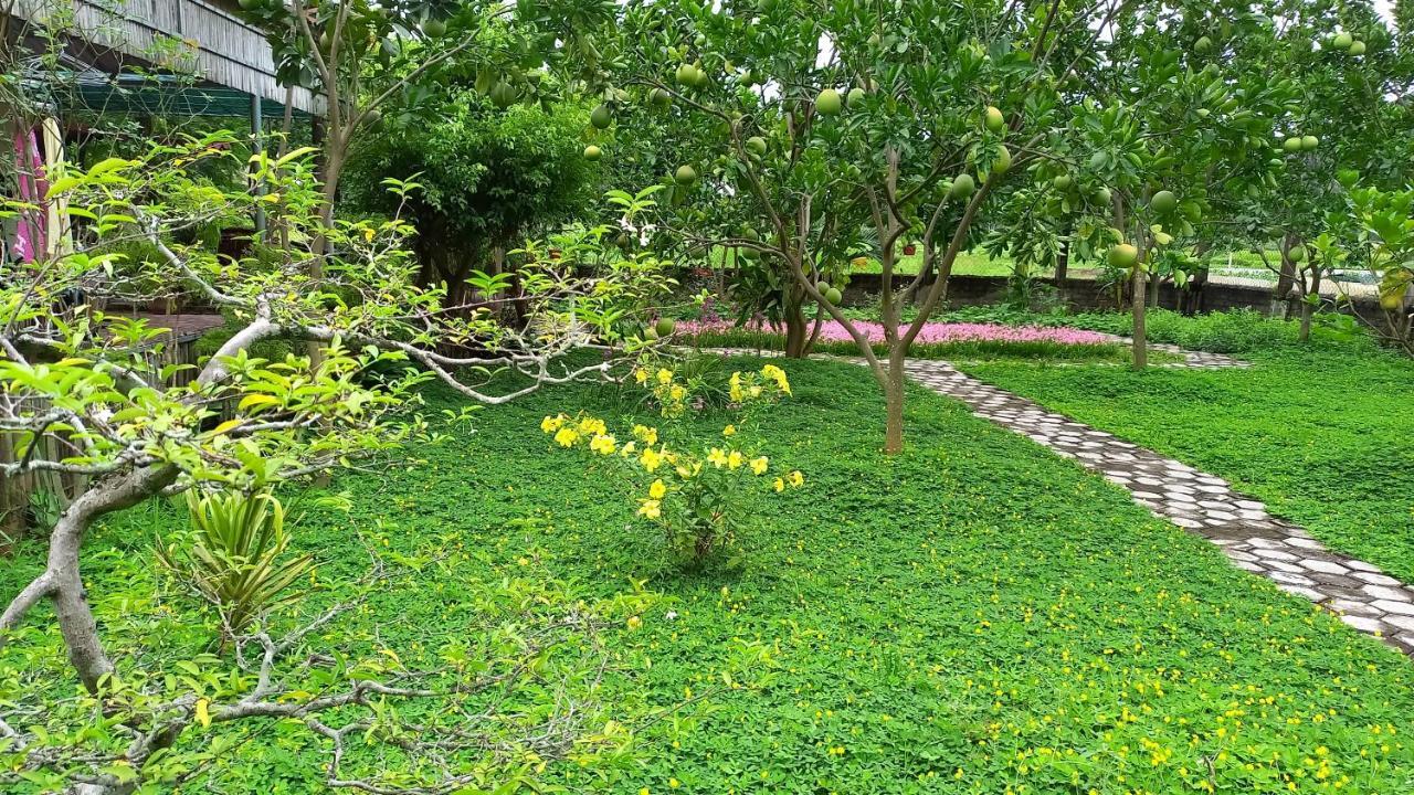 Yen Binh Homestay Ninh Bình Extérieur photo