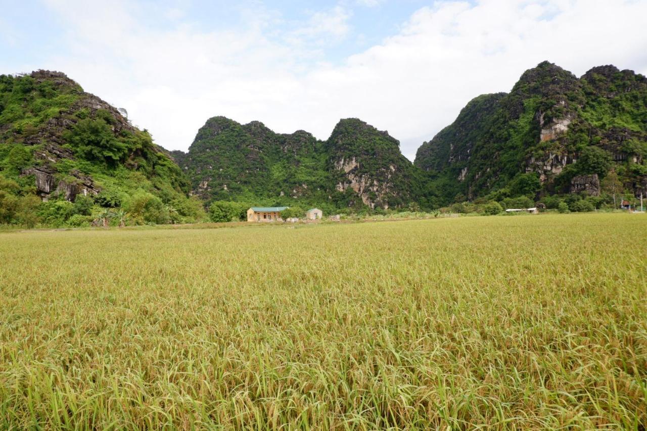 Yen Binh Homestay Ninh Bình Extérieur photo